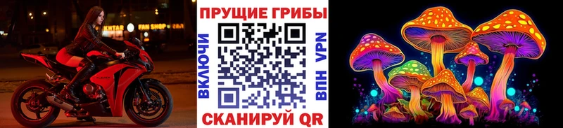 ОМГ ОМГ рабочий сайт  Сокол  Галлюциногенные грибы Cubensis 
