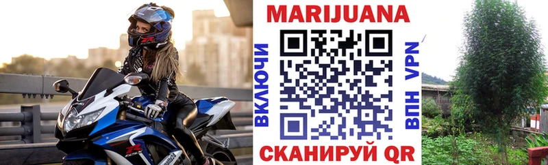 где найти наркотики  Сокол  Марихуана конопля 